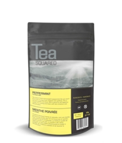 TEA SQUARED KOMBUCHA DETOX